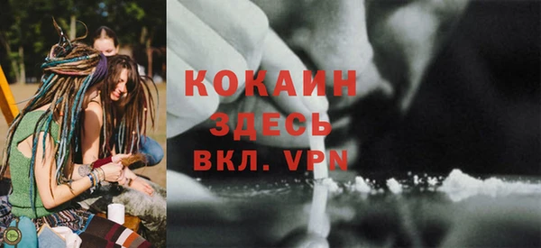 шишки Богданович