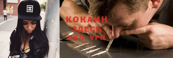 шишки Богданович