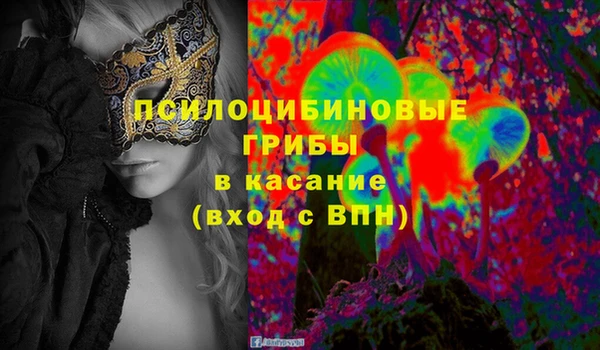 шишки Богданович