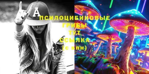 гашик Богородицк