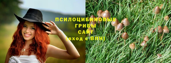 шишки Богданович