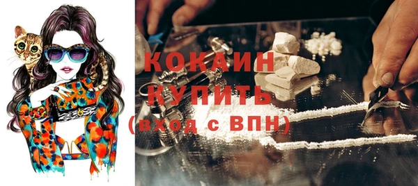 шишки Богданович