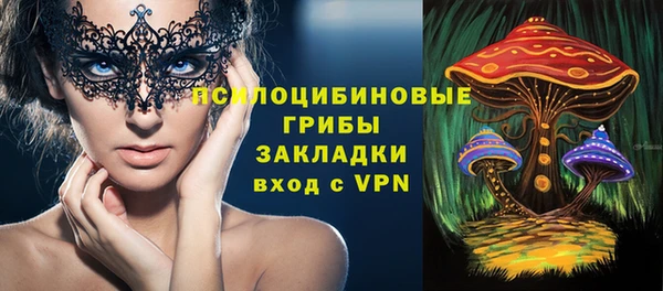 гашик Богородицк