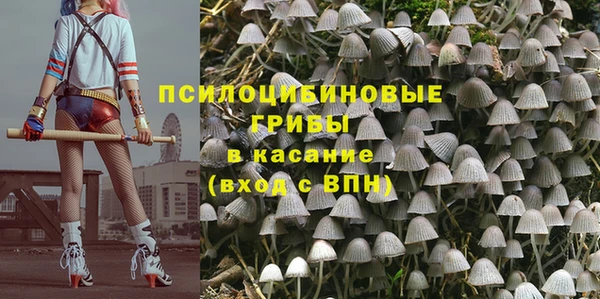 герыч Богородск